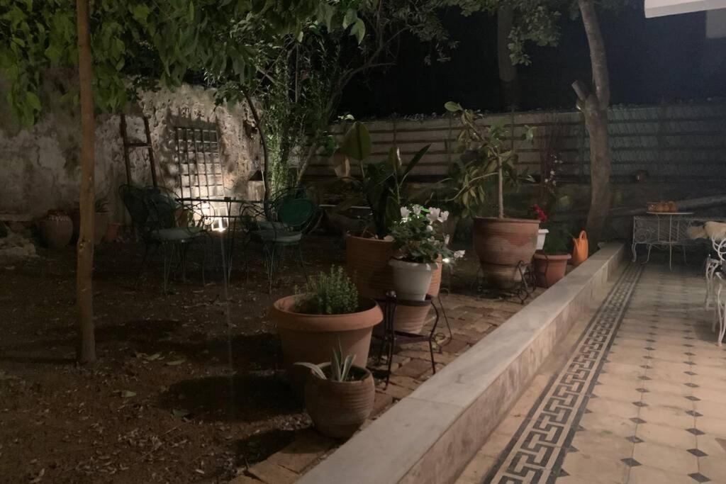 Quiet And Central Flat With Private Backyard Garden Athens Exterior photo